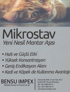 Mikrostav etkinliği